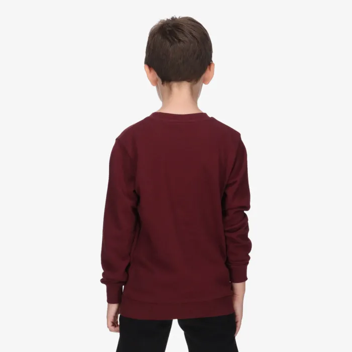 CHAMPION SKATE LIFE CREWNECK 