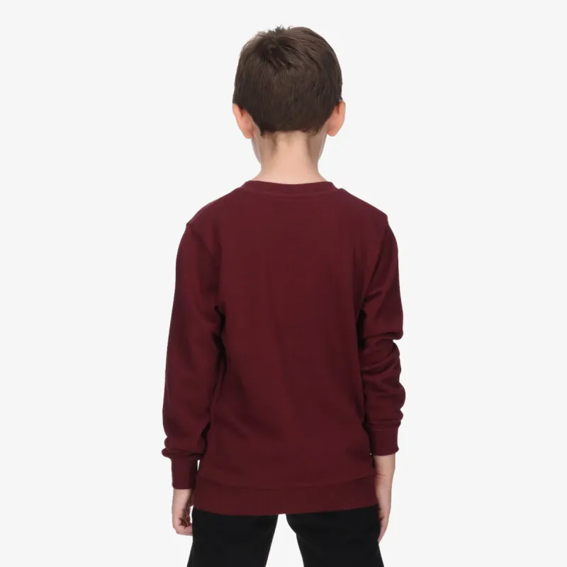 CHAMPION SKATE LIFE CREWNECK 