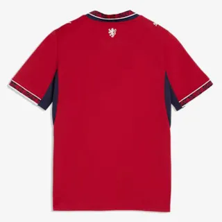 PUMA FACR Home Jersey Replica Jr Dark Cherry- 