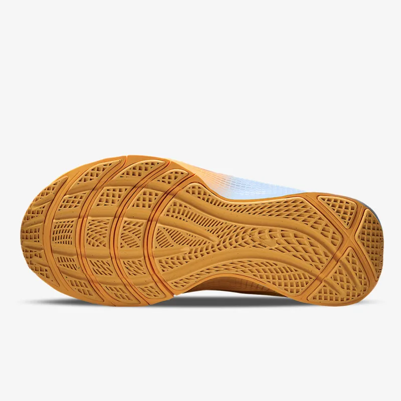 Nike LEBRON TR 1 