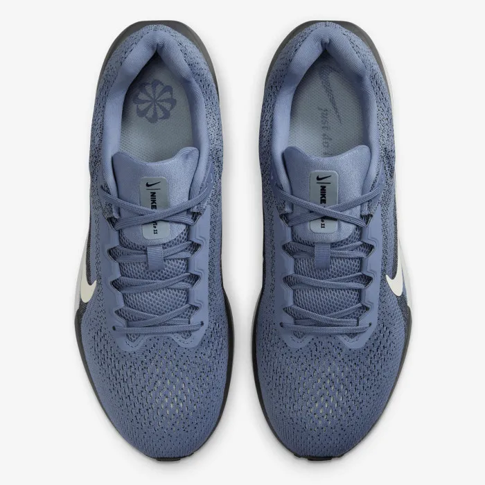 Nike AIR WINFLO 11 