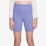 Nike G NK DF ONE 5IN BIKE SHORT 