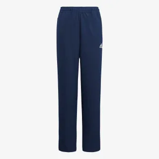 adidas ENT22 PRE PNT Y 