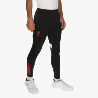 adidas LFC TR PNT 