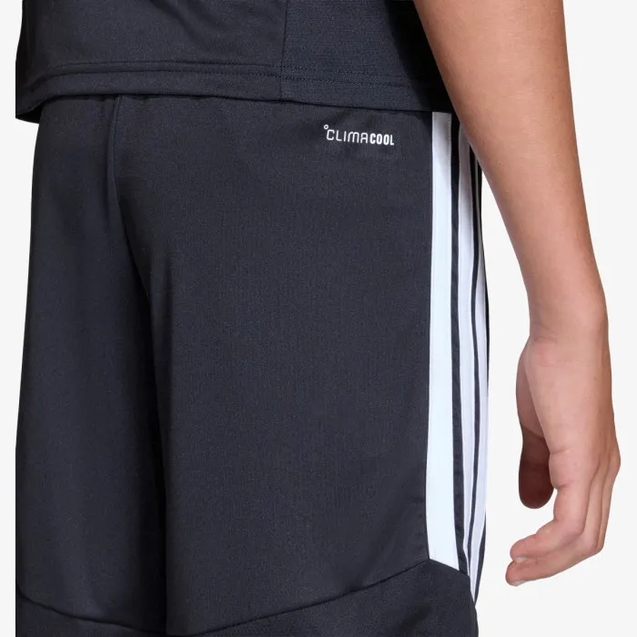 adidas TIRO26L  TRSHOY 