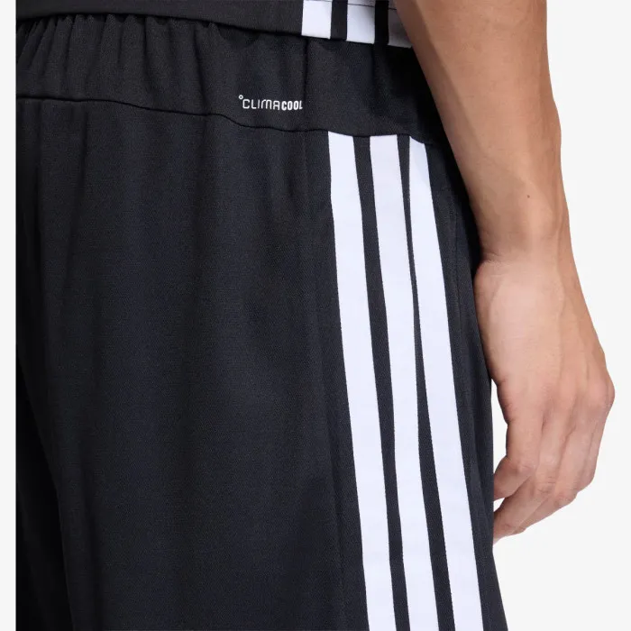 adidas WE BAS 3SPQ BT 