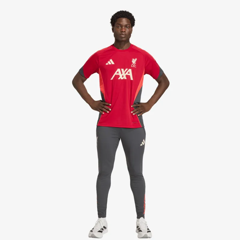 adidas LFC TR PNT 