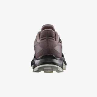 SALOMON SALOMON ALPHACROSS 5 GTX W 