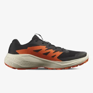 SALOMON SALOMON ALPHAGLIDE 