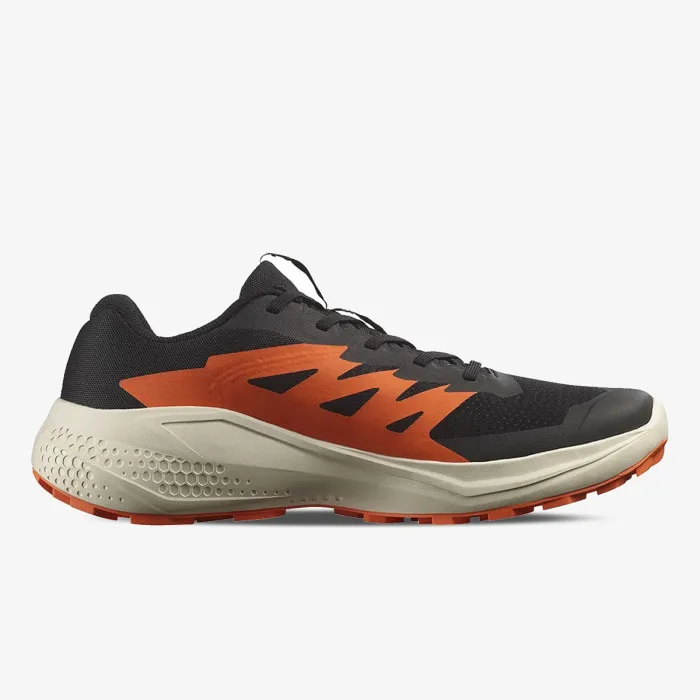 SALOMON SALOMON ALPHAGLIDE 