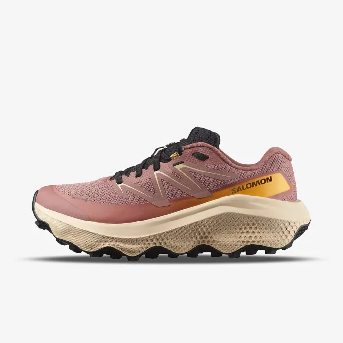 SALOMON SALOMON ULTRA FLOW 2 GTX W Bu 