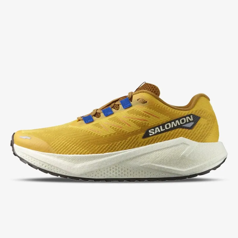 SALOMON SALOMON AERO BLAZE 3 GRVL SPI 
