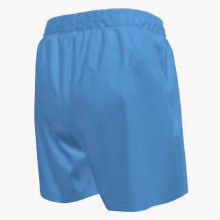 Nike 4 inch Volley Short 