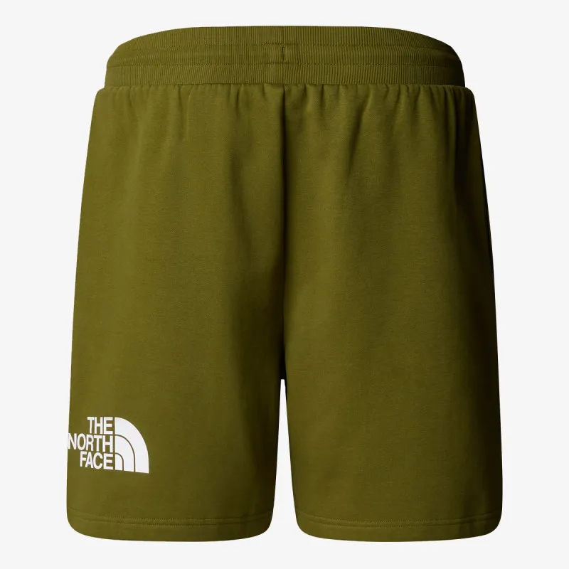 THE NORTH FACE Men’s Easy Regular Short 