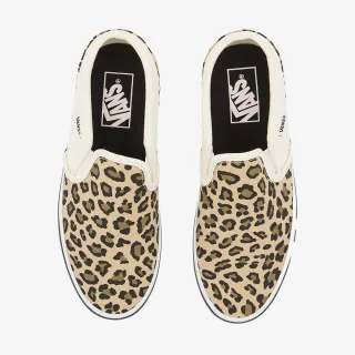 VANS WM ASHER 
