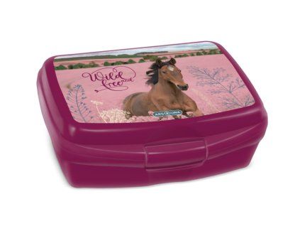 Ars Una Box na svačinu - Wild and Free