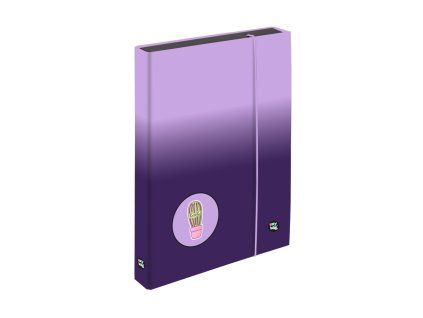 Box na sešity Jumbo A4 - OXY NEXT Ombre Purple 2025