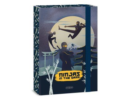 Box na sešity A5 Ars Una Ninjas in the Dark – lamino, gumička