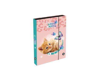 Box na sešity A4 Jumbo Kočka Little Kitty