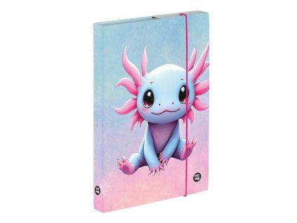 Box na sešity A5 Axolotl