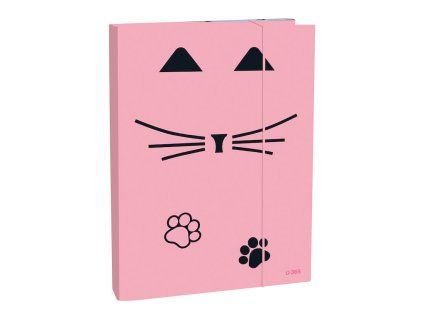 Box na sešity A4 Stil Cat Lady