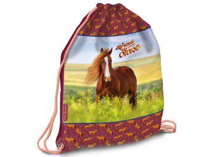 Sáček na přezůvky Ars Una My Sweet Horse