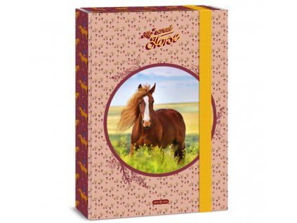 Box na sešity A4 Ars Una My Sweet Horse