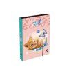 Box na sešity A4 Jumbo Kočka Little Kitty