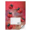 sesit a5 10 listovy linkovany 513