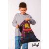 sacek harry potter nebelvir 89834 40